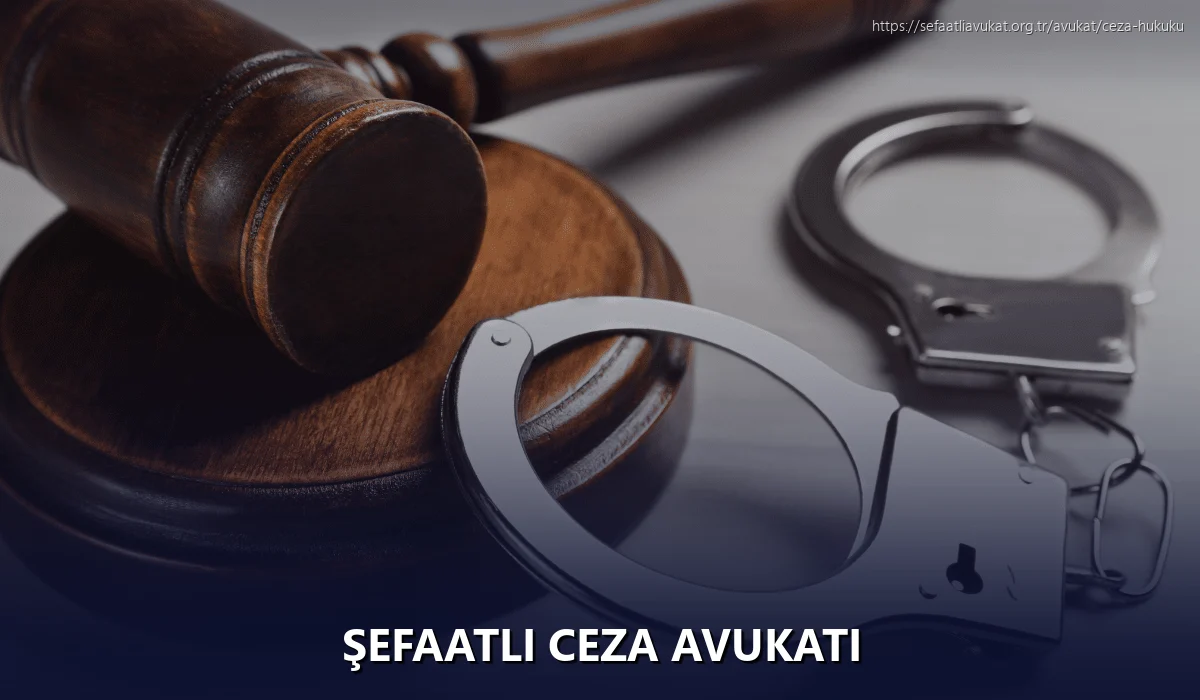 Şefaatli Ceza Avukatı
