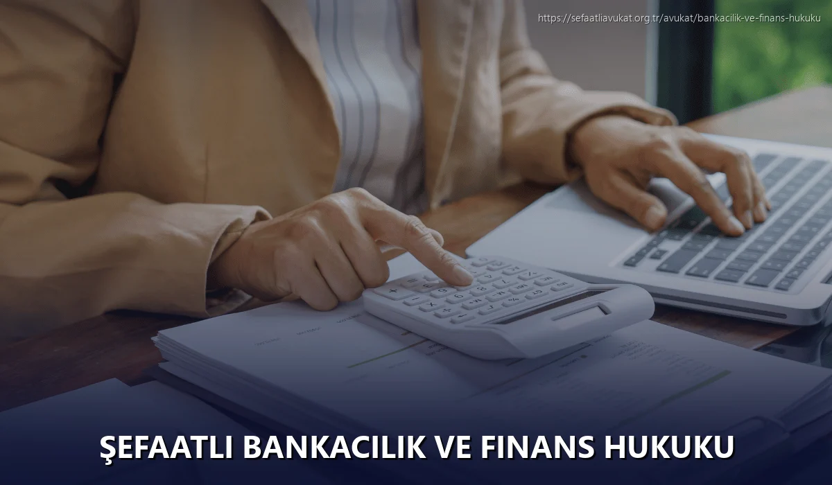 Şefaatli Bankacılık ve Finans Hukuku